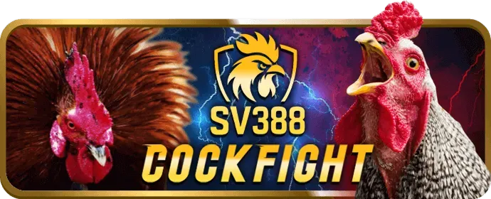 Video slot hiện đại tại 66b app